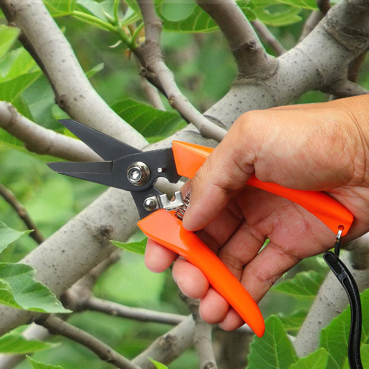 Amazon | 剪定ハサミ 枝切りばさみ 安全ロック機能 カーブ ストレート